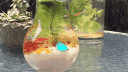 ΢�ňDƬ_20181001095145.gif